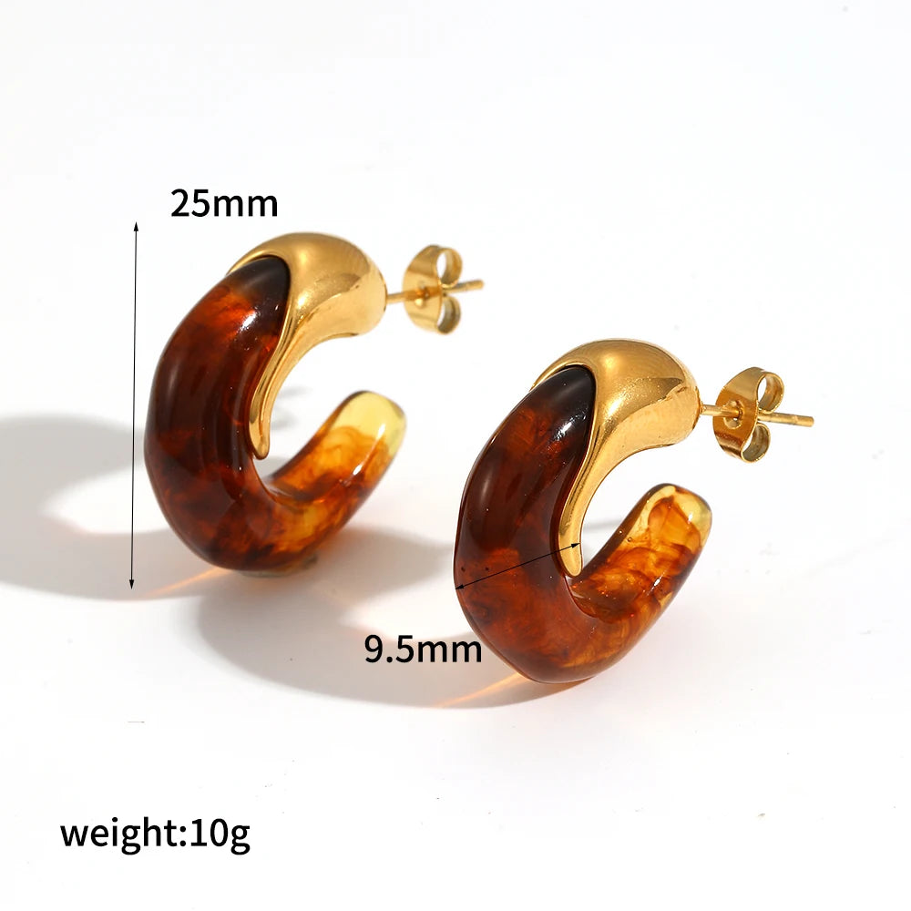 Brown Resin Geometric Shape Earrings